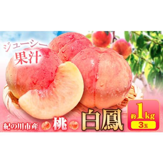 ふるさと納税 もも 和歌山県 紀の川市 桃 白鳳 紀の川市産 約1kg(3玉入り) 紀農人株式会社[2026年6月末-8月末頃出荷]和歌山県 紀の川市 果物 フルーツ 桃 も…