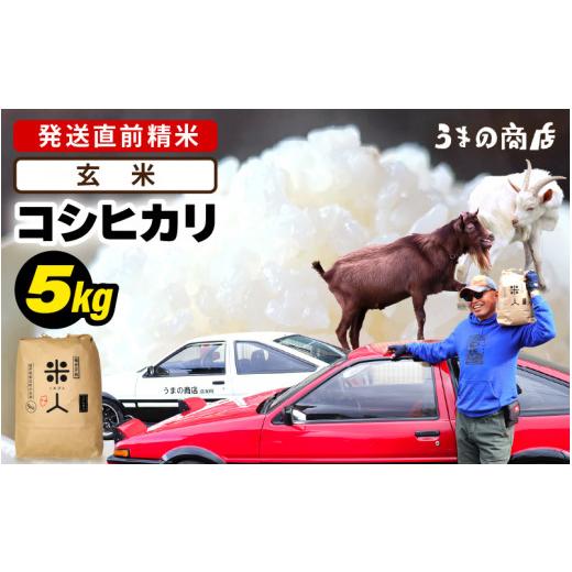 ふるさと納税 玄米 福井県 美浜町 令和7年産 コシヒカリ 5kg 玄米 m25-a006_03 玄米