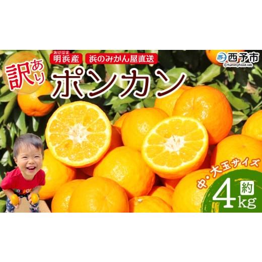 ふるさと納税 みかん・柑橘類 愛媛県 西予市 訳あり ポンカン 約4kg 大きい 大玉 中玉 食べやすい ぽんかん 家庭用 果物 フルーツ おいしい 甘い 柑橘類 明浜…