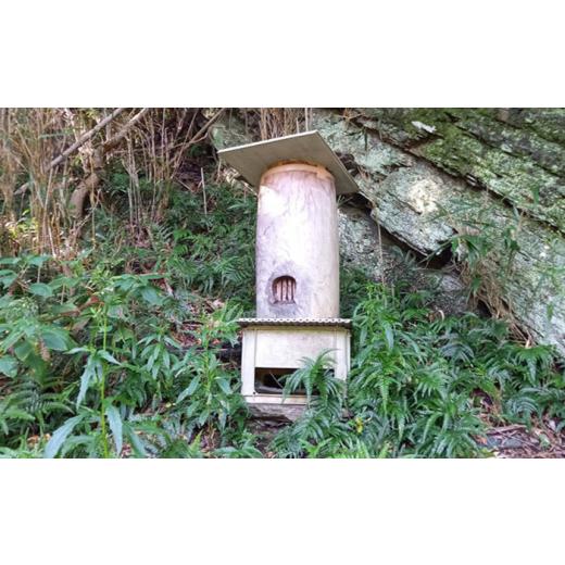 ふるさと納税 加工品等 はちみつ 長崎県 対馬市 対馬天然和蜂 蜂蜜 対馬市 海風商事  ハチミツ 蜂蜜 天然 お歳暮 ギフト WAD052の画像