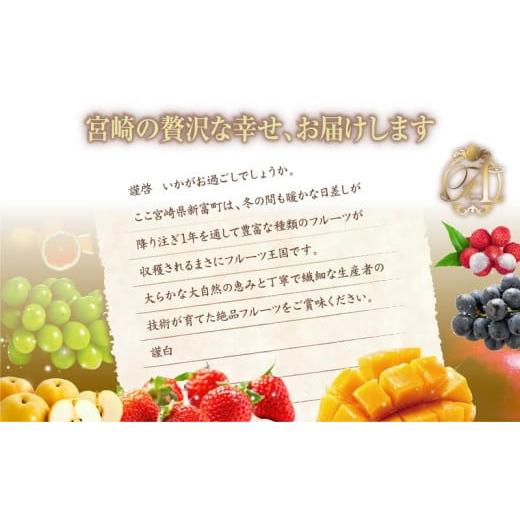 ふるさと納税 果物類 宮崎県 新富町 旬のくだもの定期便 全12回 マンゴー いちご マスカット 国産 宮崎 F152_2