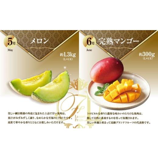 ふるさと納税 果物類 宮崎県 新富町 旬のくだもの定期便 全12回 マンゴー いちご マスカット 国産 宮崎 F152_4