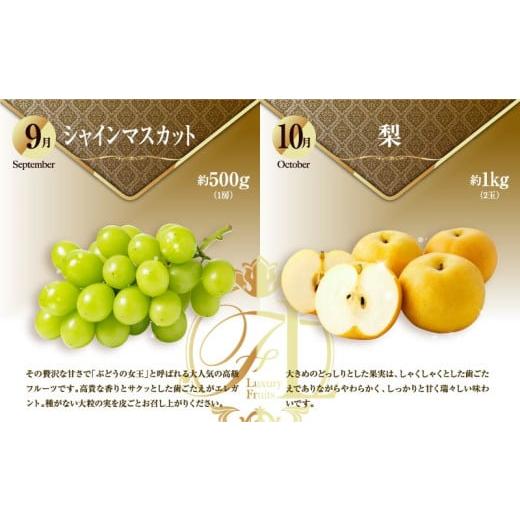 ふるさと納税 果物類 宮崎県 新富町 旬のくだもの定期便 全12回 マンゴー いちご マスカット 国産 宮崎 F152_5