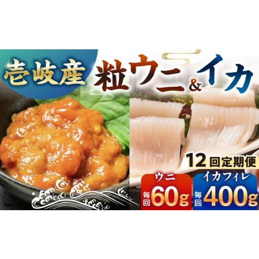 ふるさと納税 ウニ 長崎県 壱岐市  全12回定期便 冷凍 壱岐産剣先イカフィレ(80g)×5枚　壱岐産粒うに瓶60g×1本　《壱岐市》　 一支國屋 JCC019 300000 30000…_1