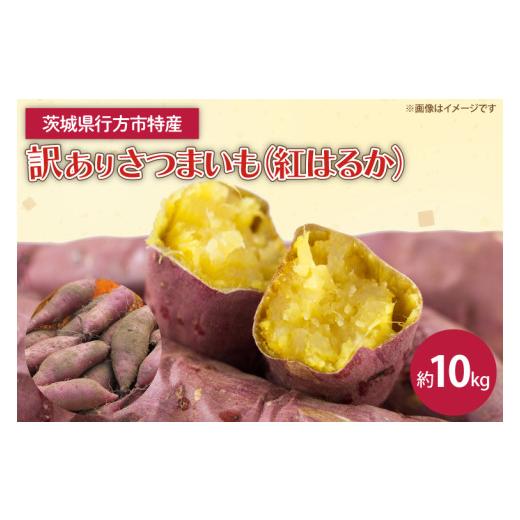 ふるさと納税 野菜類 サツマイモ 茨城県 行方市 先行予約 2027年1月