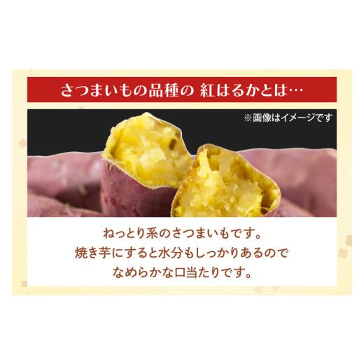 ふるさと納税 野菜類 サツマイモ 茨城県 行方市 茨城県産 紅はるか 訳あり サイズミックス 約10kg｜訳あり わけあり 訳アリ さつまいも サツマイモ さつま芋 …の画像