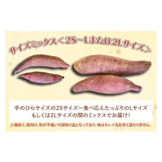 ふるさと納税 野菜類 サツマイモ 茨城県 行方市 茨城県産 紅はるか 訳あり サイズミックス 約10kg｜訳あり わけあり 訳アリ さつまいも サツマイモ さつま芋 …の画像