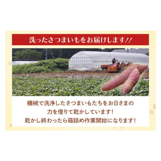 ふるさと納税 野菜類 サツマイモ 茨城県 行方市 茨城県産 紅はるか 訳あり サイズミックス 約10kg｜訳あり わけあり 訳アリ さつまいも サツマイモ さつま芋 …の画像