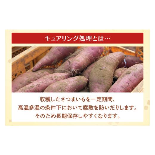 ふるさと納税 野菜類 サツマイモ 茨城県 行方市 茨城県産 紅はるか 訳あり サイズミックス 約10kg｜訳あり わけあり 訳アリ さつまいも サツマイモ さつま芋 …の画像