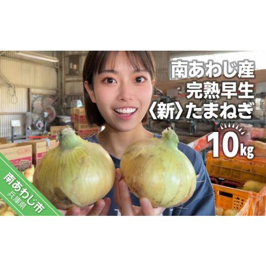 ふるさと納税 野菜類 玉ねぎ 兵庫県 南あわじ市  別所冷蔵 南あわじ産 完熟早生新たまねぎ 10kg  配送５月上旬からの画像