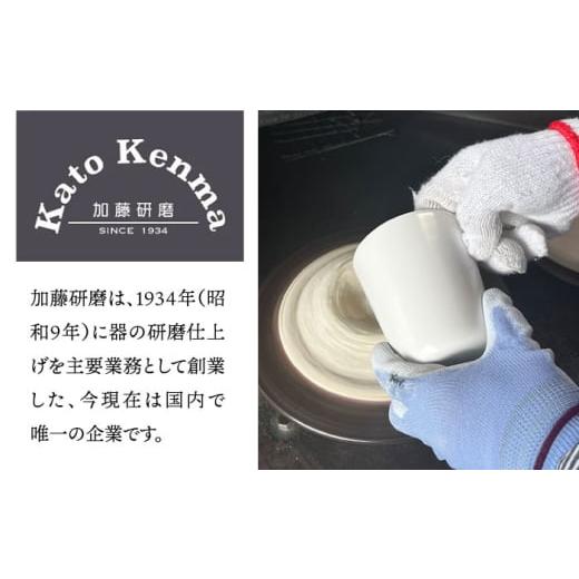 ふるさと納税 食器・グラス マグカップ 岐阜県 多治見市  美濃焼 艶々 フリーカップ 多治見市 ／ 加藤研磨 食器 コップ 湯呑み TFE002の画像