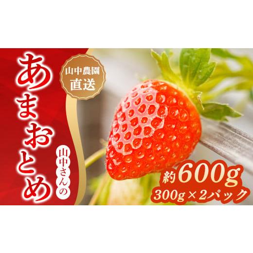 ふるさと納税 いちご 高知県 中土佐町 中土佐町産 山中さんの「いちご」(あまおとめ 2パック)