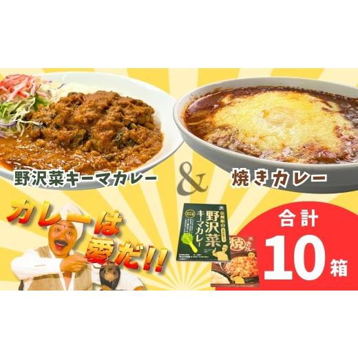 ふるさと納税 加工品等 レトルト 長野県 飯山市 あると便利なレトルトカレー 「おうちで焼きカレー」・「信州味噌入り野沢菜キーマカレー」各5箱合計10箱セッ…