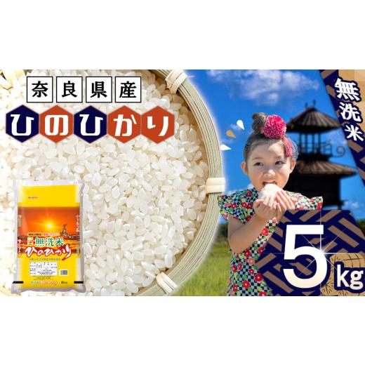 ふるさと納税 無洗米 奈良県 田原本町 無洗米 奈良県産 ヒノヒカリ 5kg / おにぎり ご飯 ごはん 家庭用 全農パールライス 米 お米 白米 国産 奈良県 田原本町