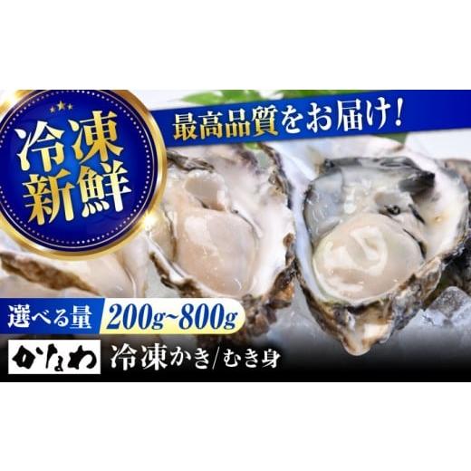ふるさと納税 牡蠣 広島県 江田島市 広島牡蠣の老舗 安心・安全の新鮮牡蠣 瞬間冷凍 牡蠣 むき身 選べる 魚介類 和食 海鮮 海産物 広島県産 江田島市/株式会…