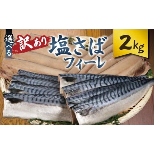 ふるさと納税 旬の鮮魚等 千葉県 銚子市 訳あり 塩サバフィーレ 約2kg ノルウェー産 冷凍 サハ゛ 鯖 塩サバ 塩鯖 海鮮 魚 大容量 ...