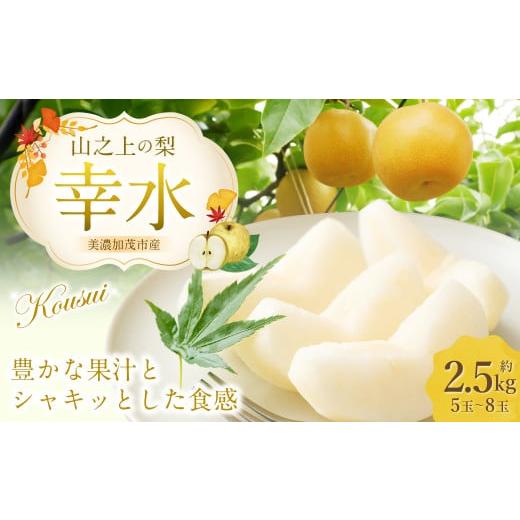 ふるさと納税 梨 岐阜県 美濃加茂市 [先行予約] 「山之上果実農業協同組合」 山之上の梨 幸水 1箱 約 2.5kg 5-8玉 梨 なし ナシ フルーツ 果物 旬 2026年8月…