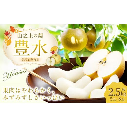 ふるさと納税 梨 岐阜県 美濃加茂市 [先行予約] 「山之上果実農業協同組合」 山之上の梨 豊水 1箱 約 2.5kg 5-8玉 梨 なし ナシ 果物 旬 旬の果物 2026年9月…