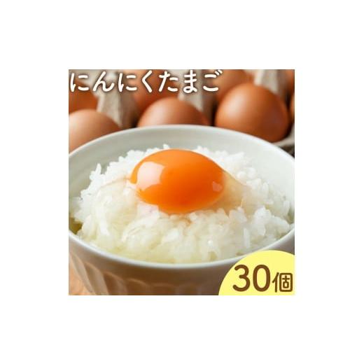 ふるさと納税 卵(鶏、烏骨鶏等) 熊本県 菊池市 卵 にんにくたまご 内容量 30個 株式会社つづき[90日以内に出荷予定(土日祝除く)]熊本県 菊池市 卵 たまご …