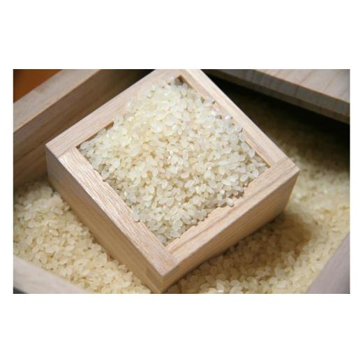 ふるさと納税 雑貨・日用品 新潟県 田上町  No.5882-0306 桐米びつ10kg 国産 日本製 収納 米櫃_3