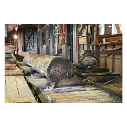 ふるさと納税 雑貨・日用品 新潟県 田上町  No.5882-0306 桐米びつ10kg 国産 日本製 収納 米櫃_8