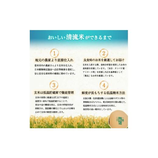 ふるさと納税 米 ひとめぼれ 宮城県 登米市 3ヵ月定期便 令和7年産 ひとめぼれ 無洗米 合計30kg (10kg×3回) 宮城県登米市産 お米 おこめ 米 コメ 白米 ご飯 …_3