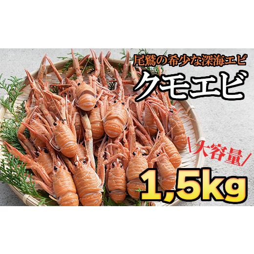 ふるさと納税 エビ 三重県 尾鷲市 クモエビ（オオコシオリエビ） 1