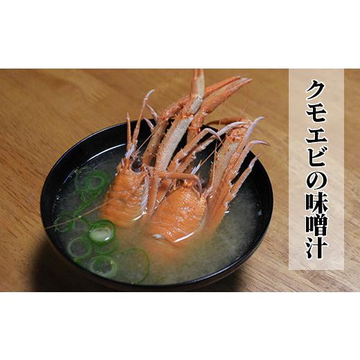 ふるさと納税 エビ 三重県 尾鷲市 クモエビ（オオコシオリエビ） 1