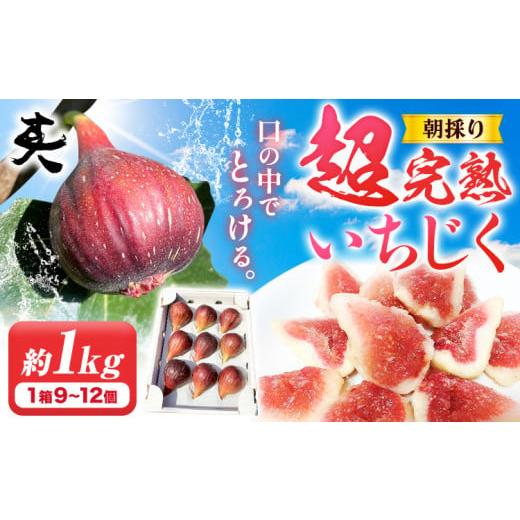 ふるさと納税 いちじく 大阪府 羽曳野市 いちじく 2026年先行予約 朝採り 超完熟いちじく 約1kg 古大農園[2026年8月上旬-10月中旬に出荷予定(土日祝除く)]大…