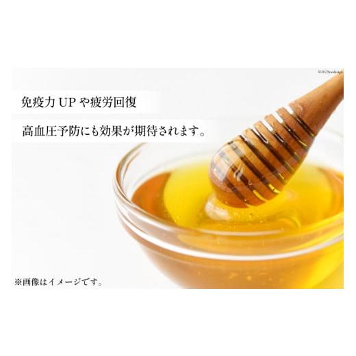 ふるさと納税 加工品等 はちみつ 長崎県 島原市 AI286 3回 定期便 国産 はちみつ 百花蜜 500g 蜂蜜 ハチミツ ハニー おすすめ おいしい 無添加 村木養蜂場 長…の画像