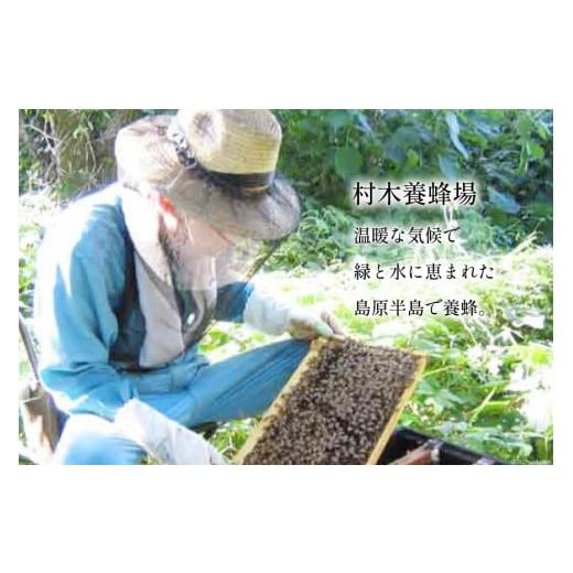 ふるさと納税 加工品等 はちみつ 長崎県 島原市 AI286 3回 定期便 国産 はちみつ 百花蜜 500g 蜂蜜 ハチミツ ハニー おすすめ おいしい 無添加 村木養蜂場 長…の画像