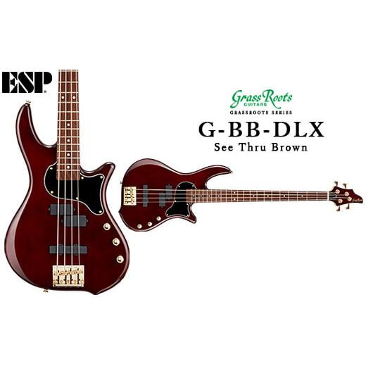 ふるさと納税 楽器 埼玉県 三芳町 See Thru Brown G-BB-DLX FAA-008 See Thru Brown