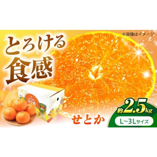 ふるさと納税 果物類 みかん 愛媛県 砥部町 せとか L-3Lサイズ 約2.5kg 2月中旬から3月中旬まで順次発送 / フルーツ 果物 蜜柑 ミカン オレンジ 小玉 甘い 先…