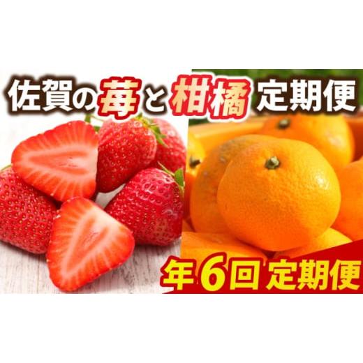 ふるさと納税 いちご 佐賀県 鳥栖市 定期便 6回 佐賀の苺と柑橘定期便 いちご 柑橘 年6回 配送不可：北海道、沖縄県、離島_1
