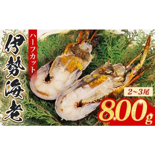 ふるさと納税 エビ 伊勢エビ 三重県 南伊勢町 （冷凍） 簡単調理 伊勢海老 800g ハーフカット 処理済み イセエビ 海老 えび 伊勢 ...