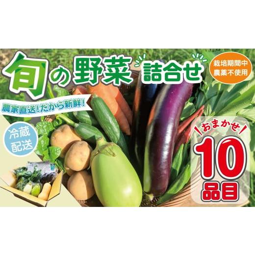 ふるさと納税 セット・詰合せ 愛知県 南知多町 野菜セット (10品目) 旬 季節 南知多産 詰め合わせ 農薬・化学肥料不使用 農家おまかせ 季節の野菜 旬の野菜 料…