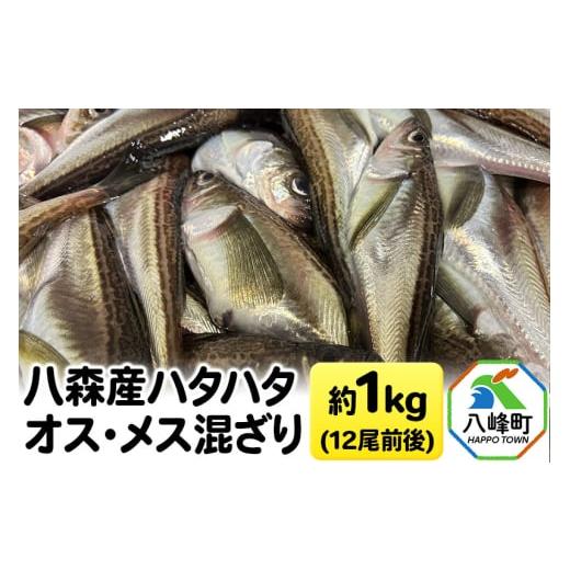 ふるさと納税 旬の鮮魚等 秋田県 八峰町 八森産ハタハタ オス・メス混ざり 約1kg(12尾前後) 秋田県産
