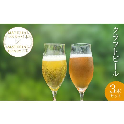 ふるさと納税 ビール 地ビール 千葉県 大多喜町 2025年4月下旬発送開始 W01206 クラフトビール MATERIAL HONEY 2本 + MATERIAL マスカット 1本 / ふるさと…