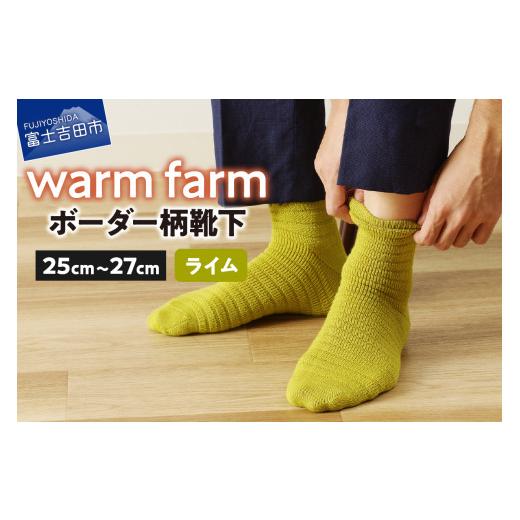 ふるさと納税 服 山梨県 富士吉田市 光吸収発熱ウール「ウォームファーム ボーダー柄靴下」(ライム) ライム
