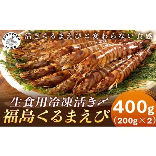 ふるさと納税 エビ 車エビ 長崎県 松浦市 生食用冷凍活き〆福島くるまえび200g×2パック( クルマエビ くるまえび えび 海老 生食用 ...