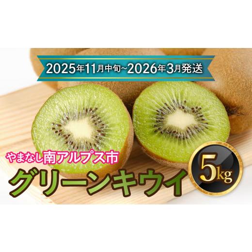ふるさと納税 果物類 山梨県 南アルプス市 先行予約 2025年11月中旬〜2026年3月下旬発送分 山梨県南アルプス市産 グリーンキウイ 約5kg ALPAH037-B 先行…