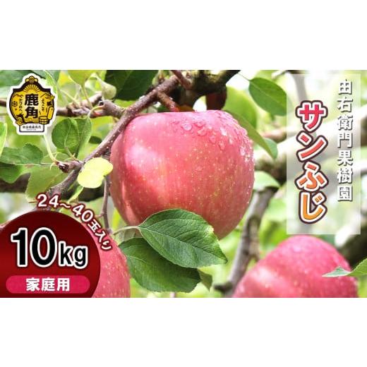 ふるさと納税 りんご 秋田県 鹿角市 [先行予約]由右衛門果樹園 りんご 「 サンふじ 」 家庭用 約10kg(24〜40玉入)●2025年12月上旬発送開始 由右衛門果樹…