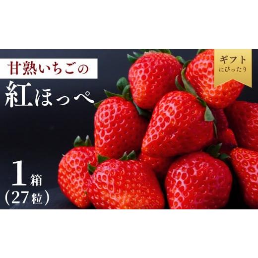ふるさと納税 いちご 茨城県 龍ケ崎市 1月中旬発送 甘熟いちごの紅ほっぺ 選べる数量 1箱 (27粒) | いちご 苺 イチゴ 紅ほっぺ べにほっぺ 甘い 完熟 完熟い…
