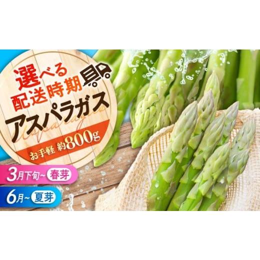 ふるさと納税 野菜類 アスパラガス 広島県 三次市 先行予約 アスパラガス 夏芽 (約800g) 6月上旬頃から順次発送 朝採れ 夏芽アスパラガス とれたて アスパ…