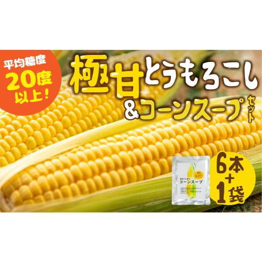 ふるさと納税 とうもろこし 愛知県 田原市 夏採れお届け 平均糖度20度以上 極甘とうもろこし 6本 + コーンスープ 鮮度保持袋入り 鮮度保持袋入り 6本とコー…