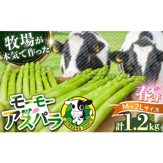 ふるさと納税 野菜類 アスパラガス 大分県 日田市 モーモーアスパラ 春芽 M / L / 2L セット 1.2kg(3月中旬から順次発送)酪農 牧場 こだわり アスパラガス…