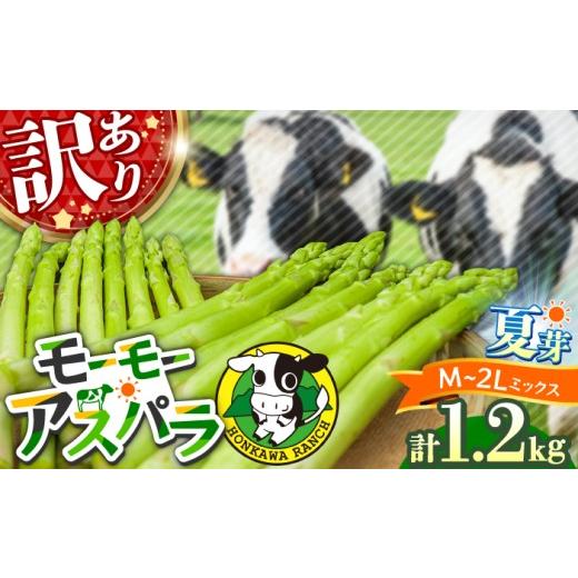 ふるさと納税 野菜類 アスパラガス 大分県 日田市 先行予約・訳あり モーモーアスパラ 夏芽 M / L / 2L セット 1.2kg(6月上旬から順次発送) 酪農 牧場 こ…