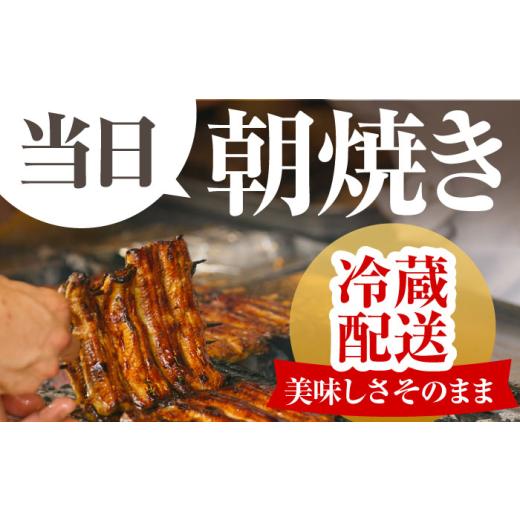 ふるさと納税 うなぎ 高知県 高知市 6回定期便 高知県産 朝焼きうなぎ蒲焼 2尾セット 株式会社 四国健商 ATAF087 うなぎ ウナギ 鰻 炭火焼 手焼き ひつまぶし…_3