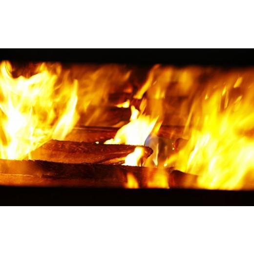 ふるさと納税 カツオ 高知県 高知市  12回定期便 明神水産 藁焼き鰹 (カツオ) たたき 2節 (約700g) セット 総計約8.4kg 株式会社 四国健商 ATAF112 かつおのた…_5