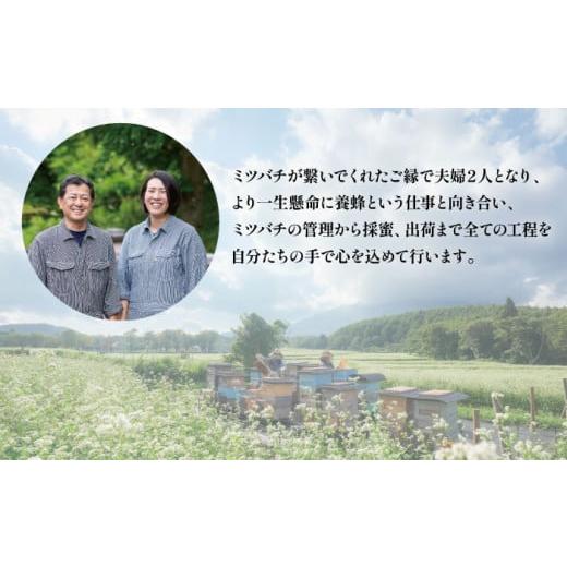 ふるさと納税 加工品等 はちみつ 岩手県 滝沢市 岩手県産 非加熱 はちみつ そば 300g 2本 ／ 大西養蜂場 蕎麦 ソバ ２本 セット 蜂蜜 ハチミツ 国産 国産はち…の画像